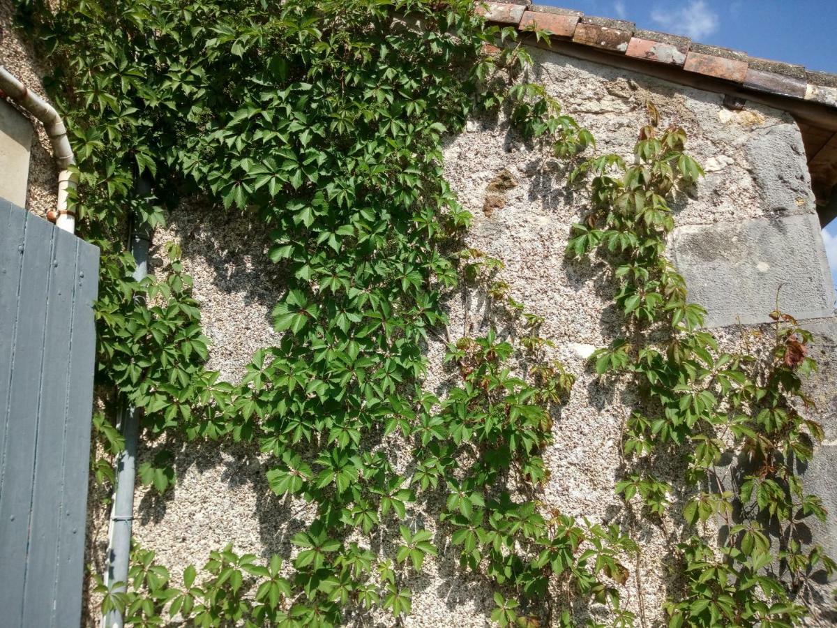 Le Petit Cochon Chambre D' Hotes Haims Bagian luar foto